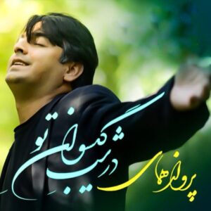 آلبوم «شب گیسوانت» از پرواز همای