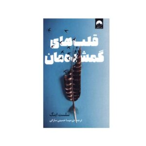 قلب های گمشده ما: رمانی از سلست نگ (فارسی)