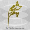 آلبوم موسیقی چشم سوم اثر داریوش دولتشاهی