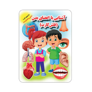 فلش کارت برای یادگیری اعضای بدن (فارسی)