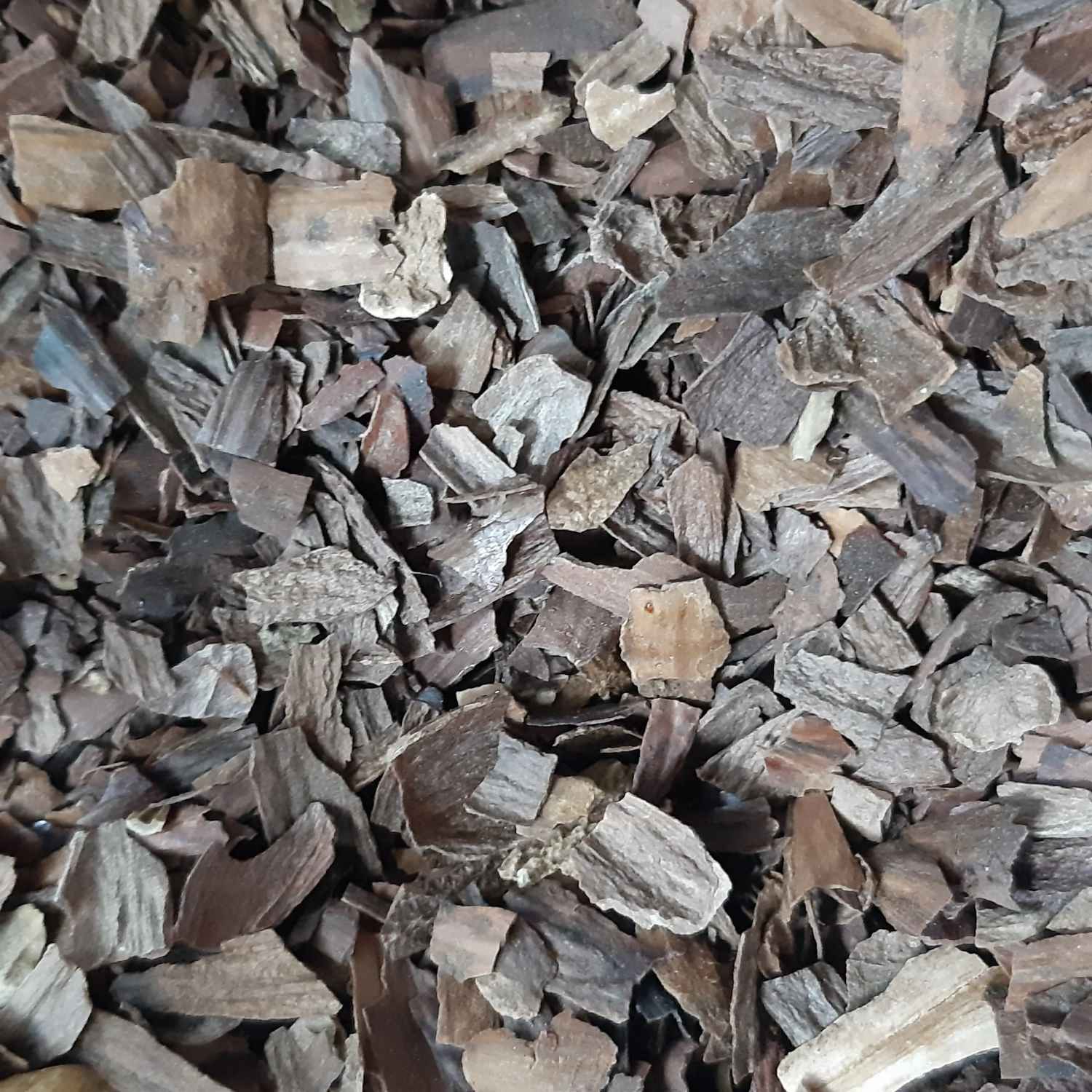 پوست بلوط خشک ارگانیک و برداشت شده از ایران ۵۰۰ گرم