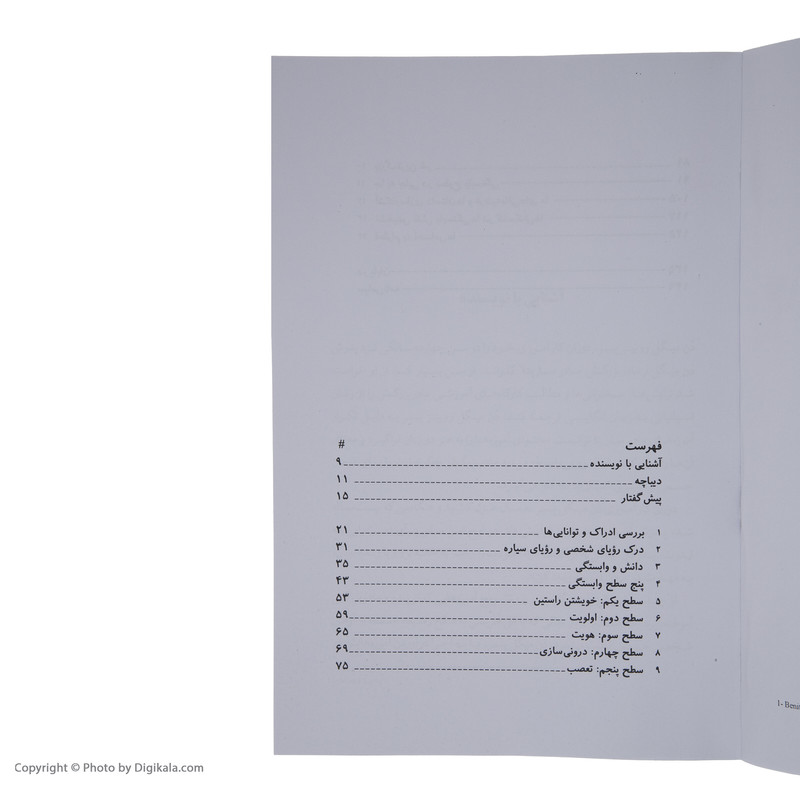 پنج سطح دلبستگی اثر دان میگل روئیز (فارسی)