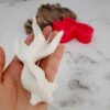 قالب شمع سیلیکونی طرح ماهی