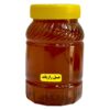 عسل رازیانه ایرانی - شیرینی گیاهی از کوهستان‌های ایران (۱۰۰۰ گرم)