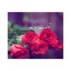 کارت تبریک تولدت مبارک گل رز قرمز با خوشنویسی نستعلیق