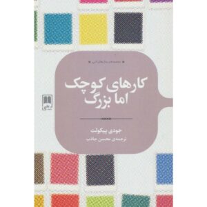 رمان چیزهای کوچک و بزرگ اثر جودی پیکولت (فارسی)