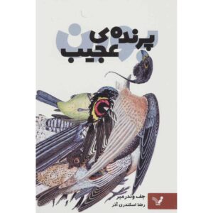 داستان کوتاه پرنده عجیب اثر جف وندرمیر (فارسی)