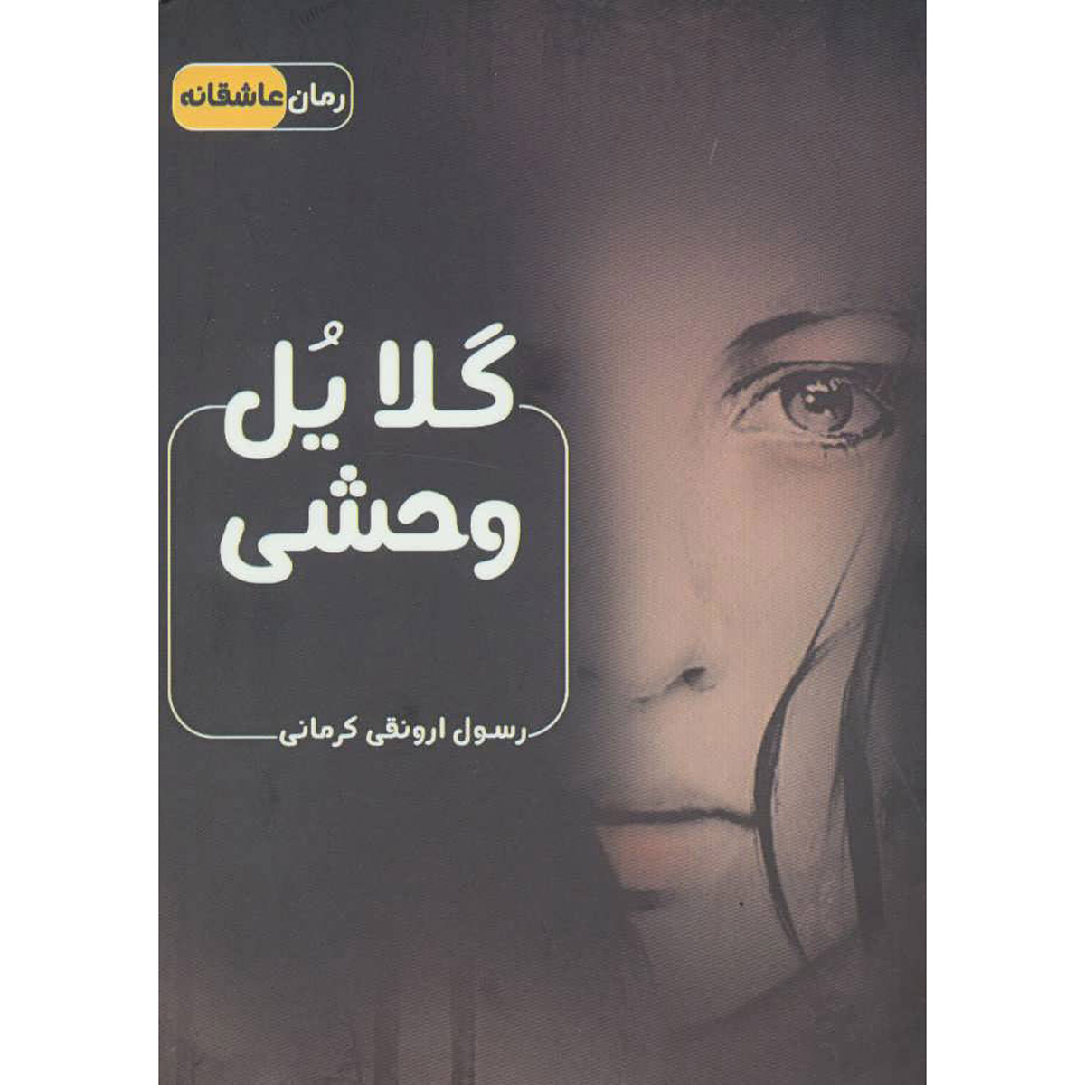 کتاب گلایل وحشی اثر رسول ارونقی کرمانی (جیبی)