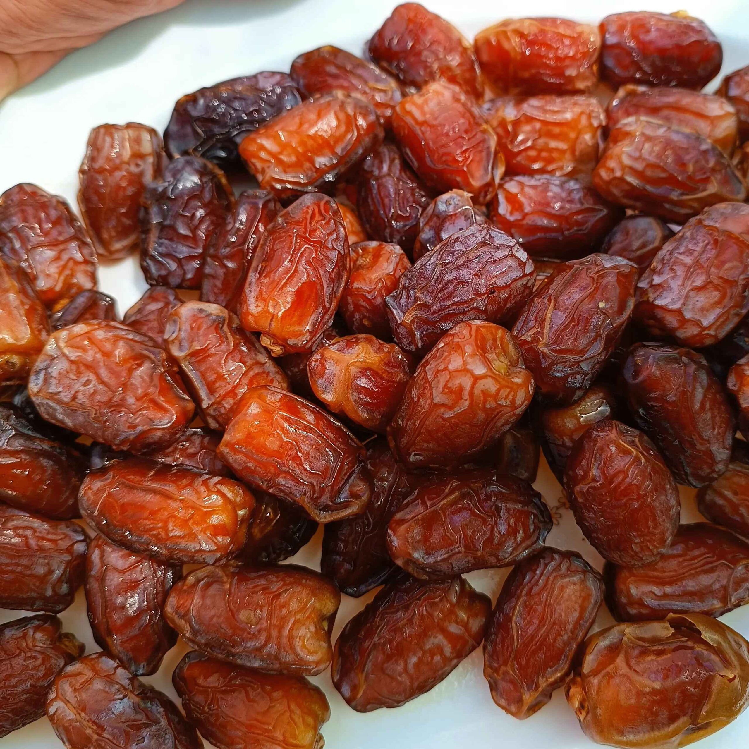 خرما برحی ایرانی ممتاز خوزستان – خرما نیمه خشک نرم و فوقالعاده شیرین – ۱۰۰۰ گرم