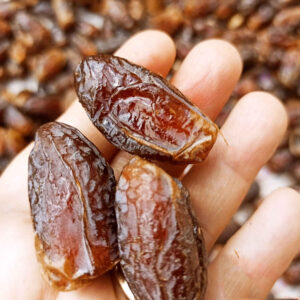 خرمای خشک ارگانیک شهابی ایرانی – ۱۰۰۰ گرم
