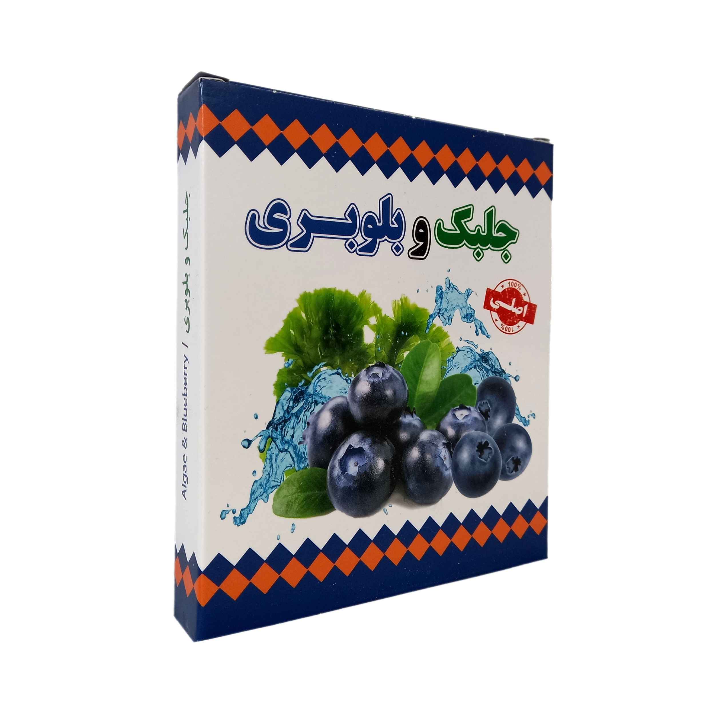 پودر جلبک دریایی خشک با طعم بلوبری – ۴۰۰ گرم