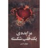 کتاب مزایده یک قلب شکسته – نیلوفر لاری