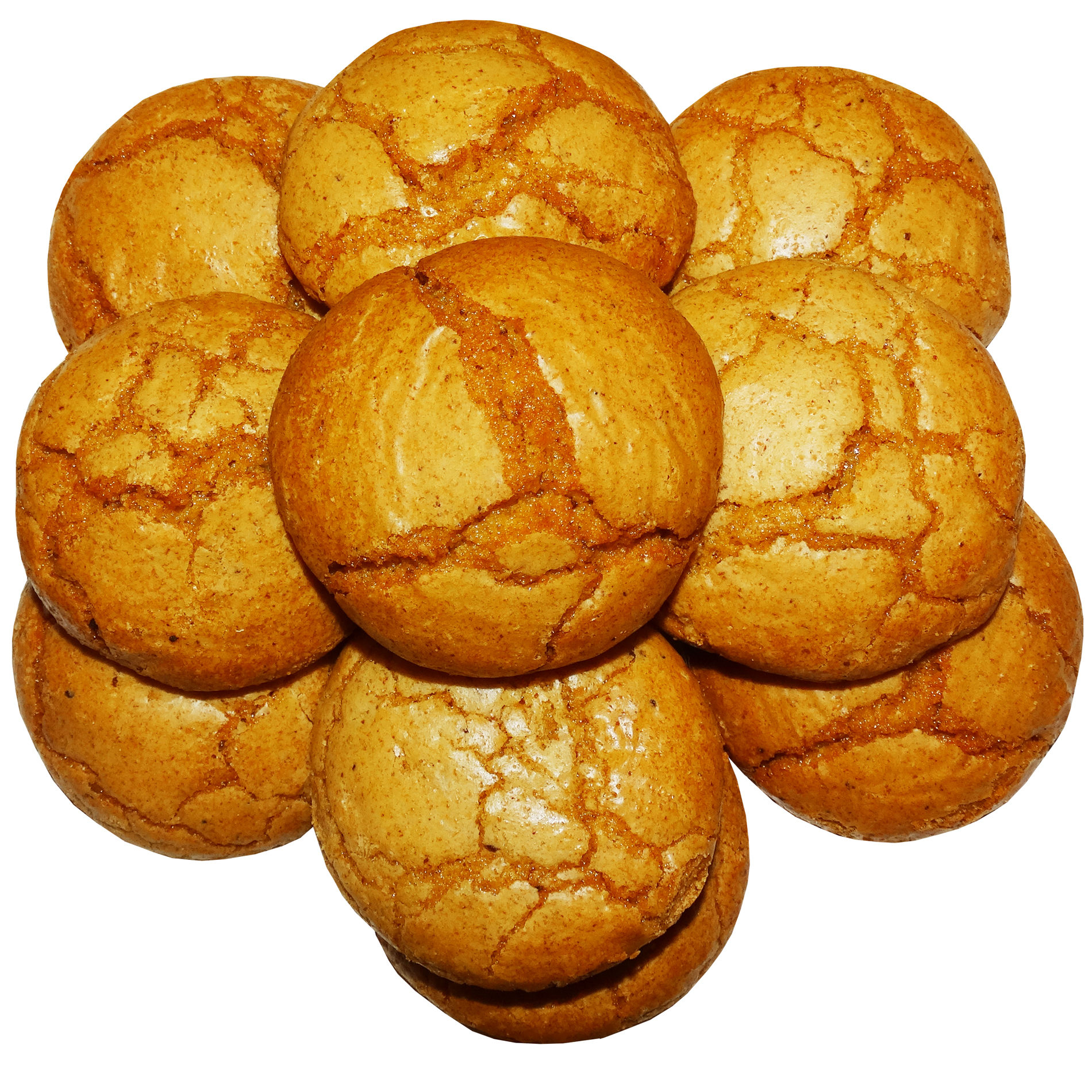 کوکی گردویی ایرانی از البرز ۸۰۰ گرم (۲ عدد)