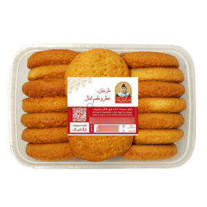 کوکی زنجبیلی ایرانی ۵۰۰ گرم
