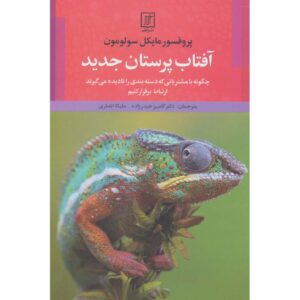 بازاریابان، این دیوارها را خراب کنید! اثر مایکل آر سولومون