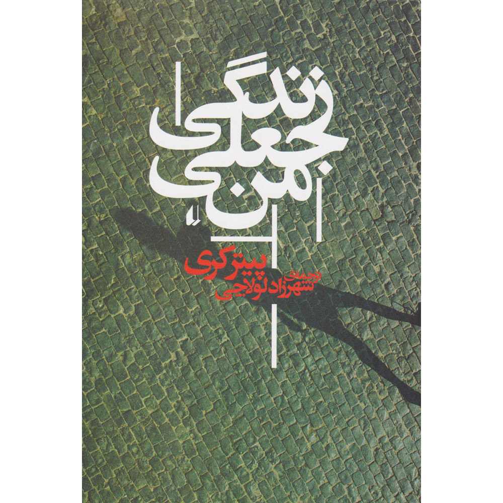 رمان زندگی من بهعنوان یک جعلی اثر پیتر کری
