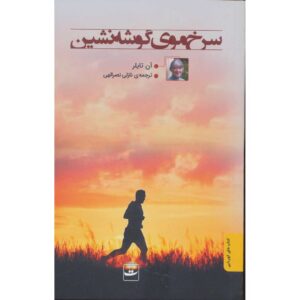 کتاب دختر سرخ‌مو کنار جاده اثر آن تایلر جیبی