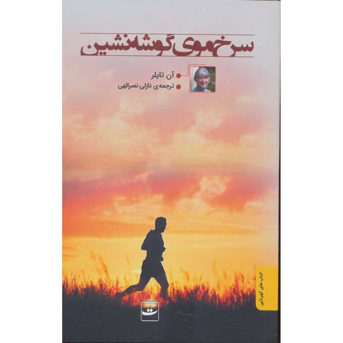 کتاب دختر سرخمو کنار جاده اثر آن تایلر جیبی