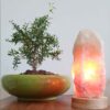 چراغ نمک شب‌تاب ایرانی - دست‌ساز با پایه چوبی و طرح سنگ