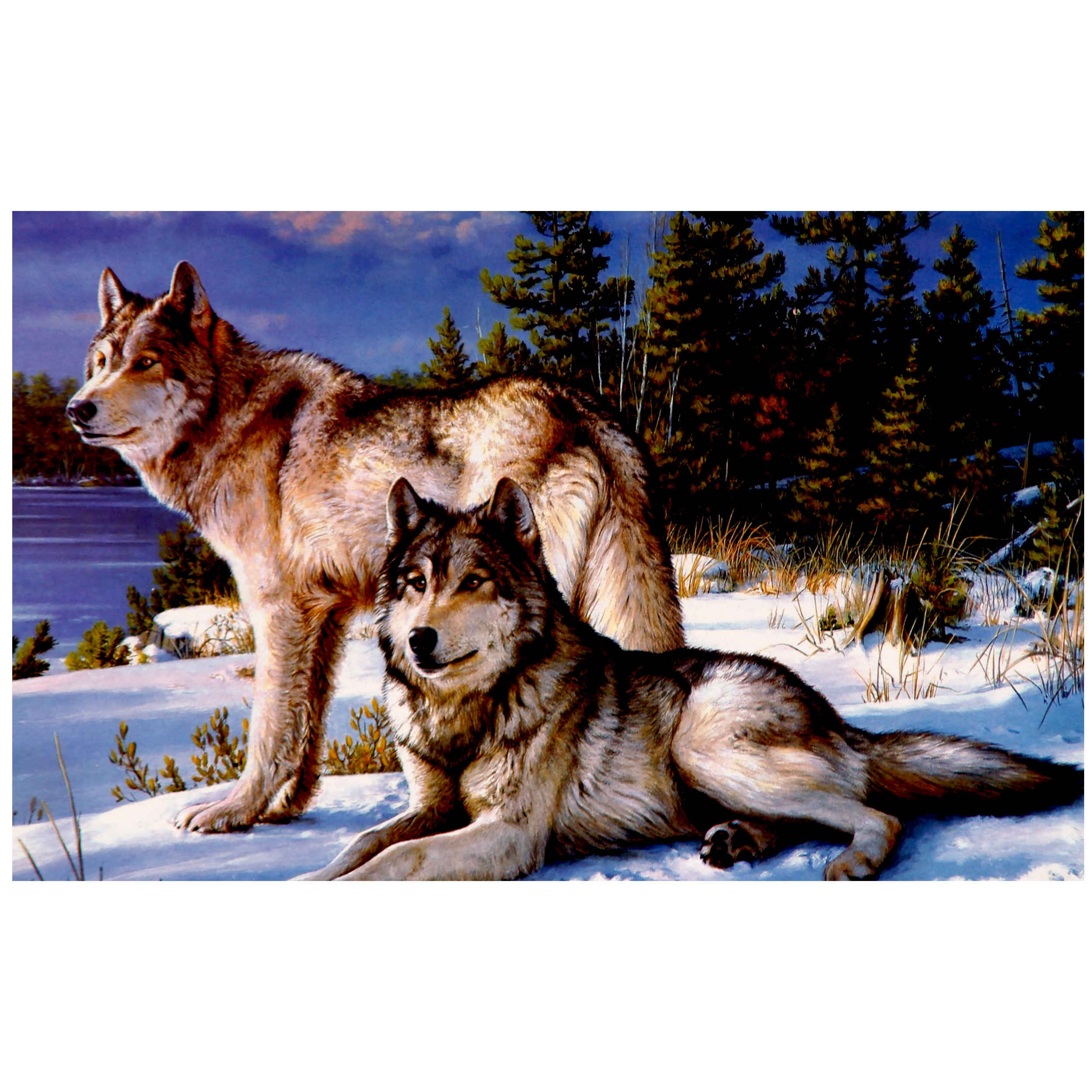 پازل ۱۰۰۰ تکه منبت کاری اره مویی: گرگ‌ها – Majestic Wildlife