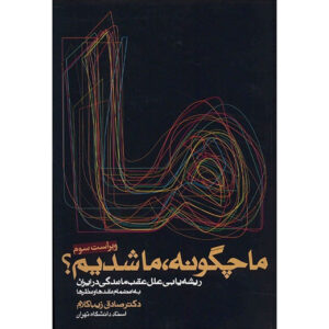 کتاب ما چگونه ما شدیم اثر صادق زیباکلام