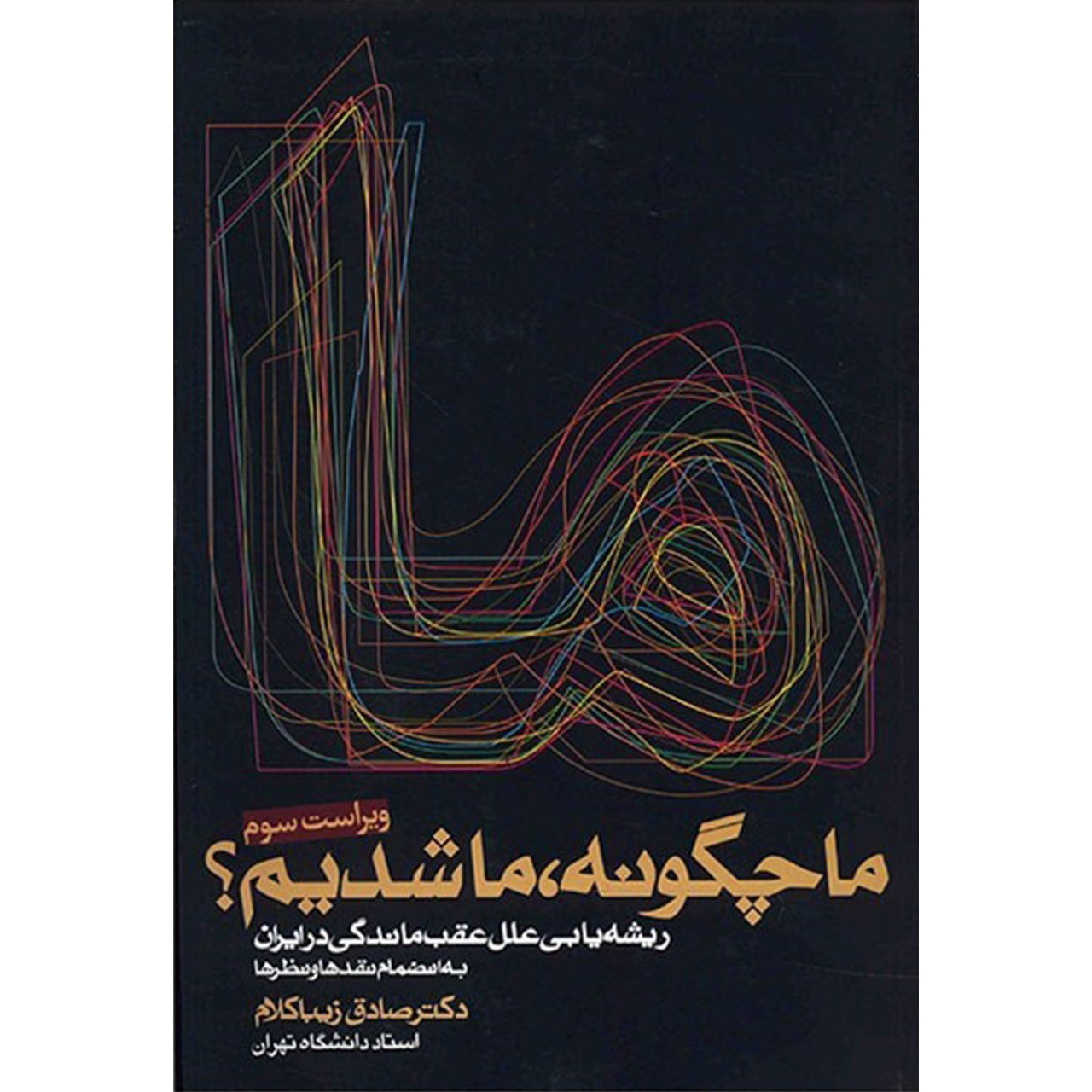 کتاب ما چگونه ما شدیم اثر صادق زیباکلام