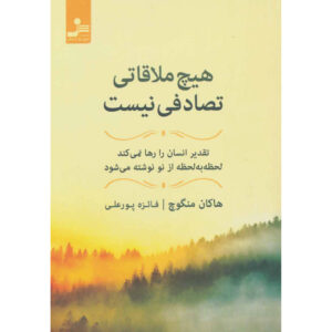 کتاب هیچ دیداری بی‌دلیل اثر هاکان منگوچ نیست