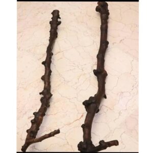 عصای چوبی درویشان ایرانی