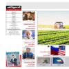 دنیای سرمایه گذاری: مجله اقتصادی ایران شماره 31