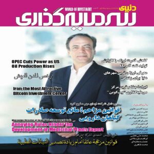 دنیای سرمایه گذری: مجله اقتصادی ایران شماره 32