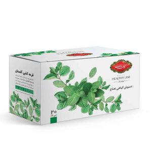 دمنوش گیاهی نعناع گلستان، بسته 20 عددی (5 عددی)