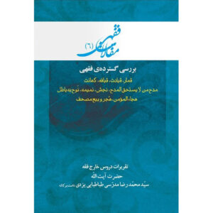 کتاب مقالات فقهی ۶ اثر آیت‌الله محمدرضا مدرسی یزدی