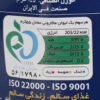 پاستای فوری مانا با طعم کاری و پنیر، بسته 20 عددی، 145 گرم
