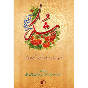 کتاب شکر: سرود آسمانی اثر آیت‌الله محمدرضا مدرسی یزدی