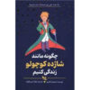 کتاب چگونه مانند شازده کوچولو زندگی کنیم اثر استفان گارنیه