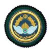 نشان نظامی - نشان جدید نیروی هوایی ارتش با دو لایه جیر