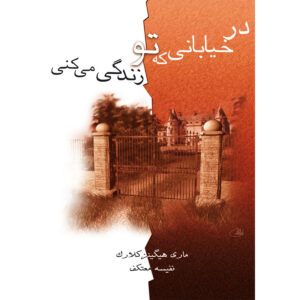 در خیابانی که زندگی میکنی اثر ماری هیگینز کلارک