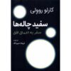 سوراخ‌های سفید: درون افق کتاب اثر کارلو رولی