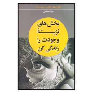 کتاب زیستن زندگی نازیسته‌ها اثر رابرت ای. جانسون