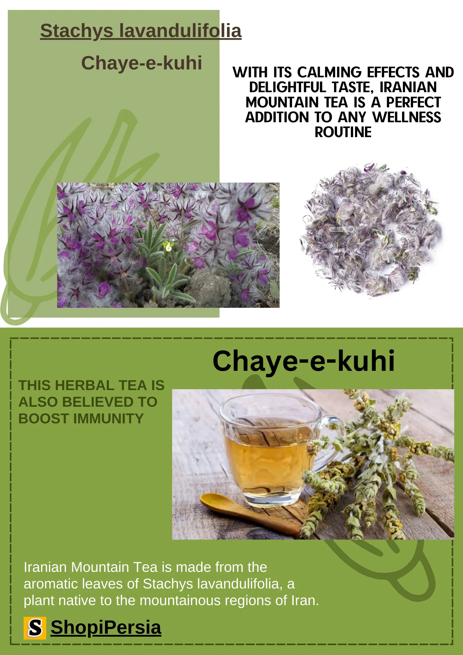 Product banner 2