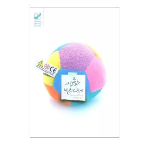 کتاب دگرگونی اثر رابرت ای. جانسون