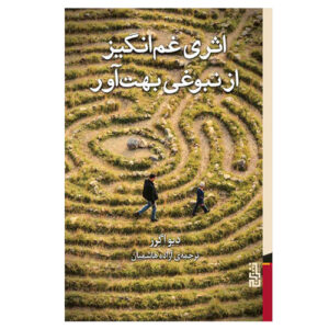 کتاب اثری دل‌شکن از نبوغ حیرت‌آور اثر دیو اگگرز (فارسی)
