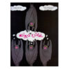 Crazy Bat by Jeanne Willis (Farsi)