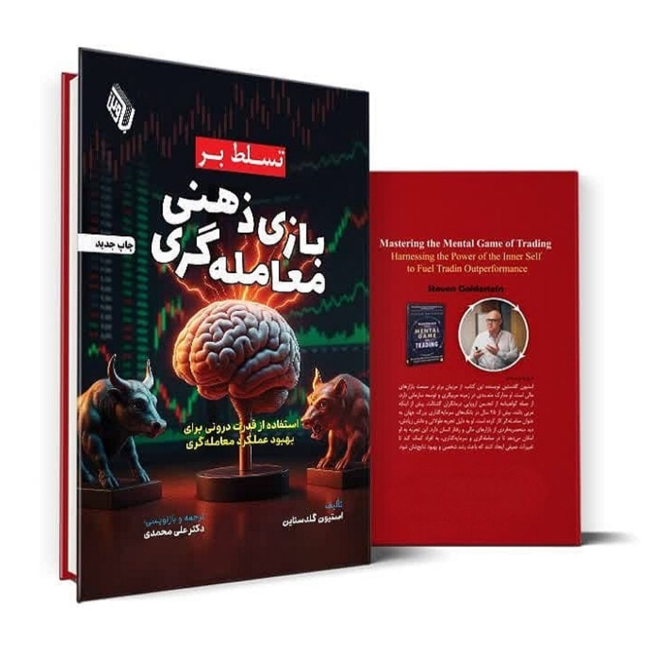 استادی در بازی ذهنی نوشته استیون گلدستین (فارسی)