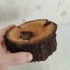 Tree Trunk Log Ashtray – Suitable for Eco-Friendly and Rustic Spaces2
