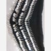 Belly Dance Coin Scarf – Shiny Hip Wrap for Performers & Costumes (2)