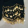 Chiffon Belly Dance Hip Scarf - Perfect for Festival with Silk Thread & Coins (3)