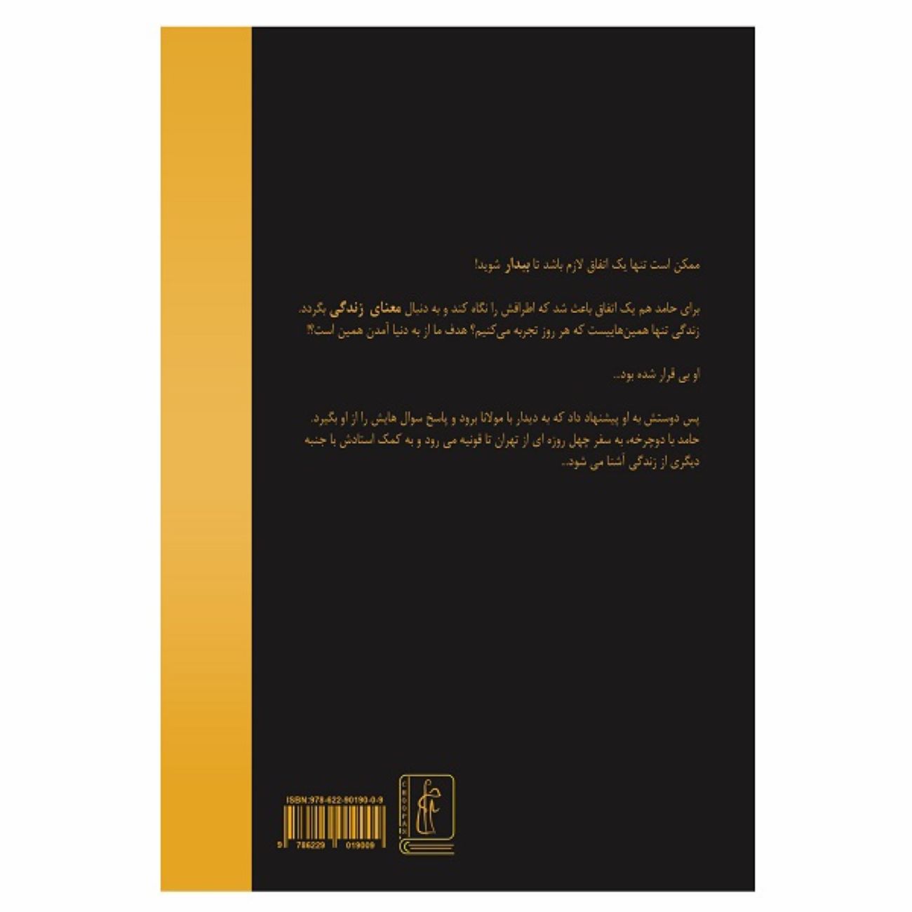 دیدار با مولانا اثر مهشاد فولادی (فارسی)