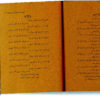 Selected Ghazals of Shams Tabrizi by Shams Tabrizi 3