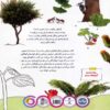 The Life Cycle of Plants by Takim Yildiz (Farsi) 2
